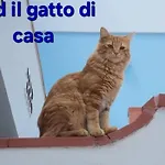 Sicilia Meraviglia Frühstückspension 3*