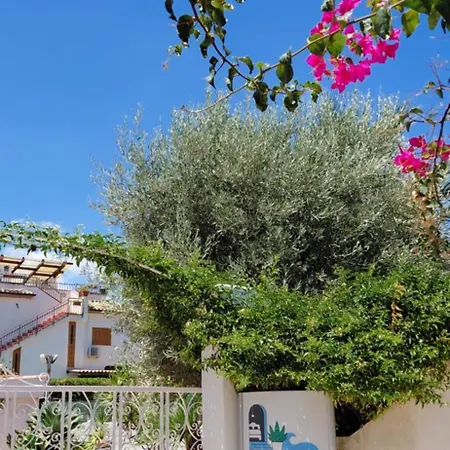 Sicilia Meraviglia *